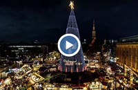 Запалиха светлините на най-високата коледна елха в света