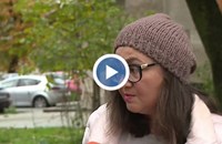 Стопани твърдят, че ловци отстрелват домашните им любимци