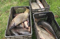 ИАРА - Русе спипа бракониери след сигнал