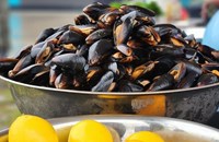 Държавата налива милиони в рибарството, фестът тръгна от Варна