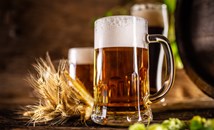 Бирата намалява риска от сърдечни заболявания