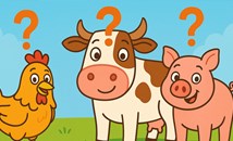 Нелепа задача по математика за 3 клас затрудни родители