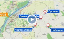 Множество сигнали за застреляни домашни кучета в Русенско