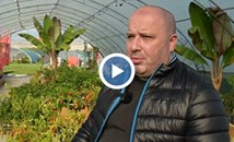 Българин е трети в света по лютоядство