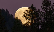 Най-ярката суперлуна за годината озари небето