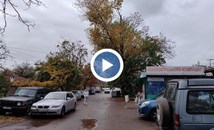 Опасна топола при Кооперативния пазар в Русе чака реакция над година