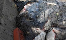 ИАРА откри незаконни мрежи с улов в езерата Дуранкулак и Шабла