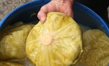 Киселото зеле крие тайната на здравето през зимата