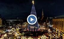 Запалиха светлините на най-високата коледна елха в света