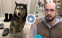 Никифор Пенков: Казах на сина ми, че Мая вече е звездичка