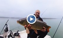 Русенски рибар извади 10-килограмов "дунавски дивак"