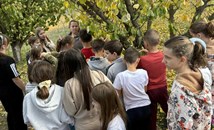 120 деца влязоха в ролята на овощари в село Бръшлен