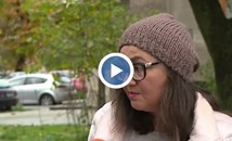 Стопани твърдят, че ловци отстрелват домашните им любимци