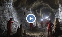 Откриха най-голямата паяжина в света между Гърция и Албания