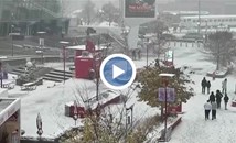 Първи сняг покри Торонто