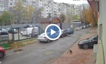 Шофьор прегази куче в София