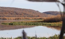 Отхвърлиха предложенията за лого на биосферен парк "Сребърна"