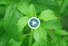 Първата реколта на учениците от СУ Йордан Йовков отива за