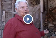 Цените на дървата в Монтанско удариха 170 лева за кубикПодготовката