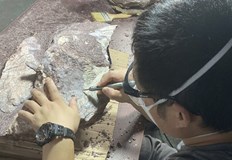 Изкуствен интелект откри живот на 3 3 милиарда годиниУчени откриха доказателства