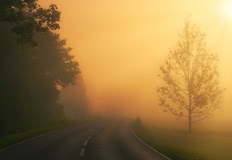 Температурите паднаха до минус 4 градуса частични заледявания по усойните