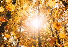 НИМХ прогнозира слънчеви почивни дни но от вторник времето се