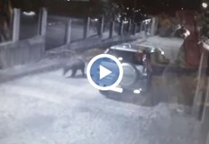 Жители са притеснени от Горското стопанство изпращат екипи да я