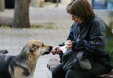 Страната ни остава под средното европейско ниво от 27 процента