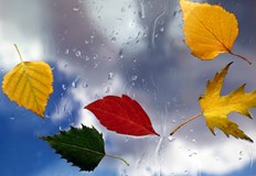 Дневните температури в периода ще бъдат около 20 градусаВ следващите