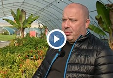 Николай Филипов яде чушки които не са за нормални хораНиколай