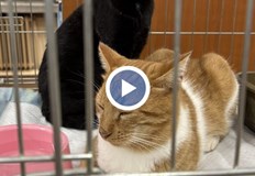 Инициативата ще продължи до 14 ноември в Регионалната библиотекаСпециална изложба