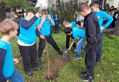 Инициативата Малки еко герои обедини деца родители и институции за