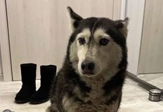 Близо 200 000 души подкрепиха петиция за по строги мерки след