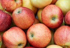 Реколтата от ябълки отбелязва спад от 30 заради лоши метеорологични