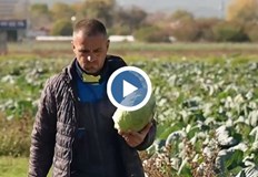 Търговците споделят че все по малко хора приготвят зимнина Цените на