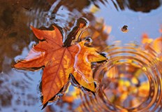 Очакват се до 22 градуса на изток и сняг в