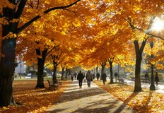 Температурите през уикенда ще достигнат до 22 градусаВремето в България