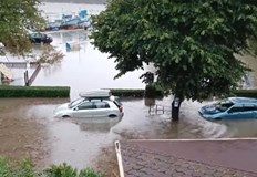 Валежите в Образцов чифлик край Русе достигнаха 549 процента от