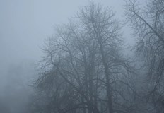 Предупреждението е в сила за събота 15 ноември в Северна