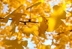 Понеделник идва със слънце и по високи температуриЗначителна облачност и понижение