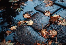 Температурите остават необичайно високи в Югоизточна България достигайки до 21