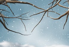 На празника дневните температури ще са между 5 и 10