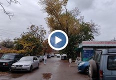 Граждани алармират за опасното дърво над година но Община Русе