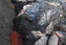 Инспекторите извадиха 200 метра мрежи и освободиха уловената риба обратно