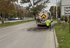 Екипи почистват приоритетно зони около спирки и кръстовищаОбщина Русе съобщи