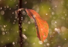 Има риск от наводнения и разливи по рекитеДинамична облачност и