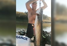 Активност на хищника е регистрирана и на язовирите Искър Огоста