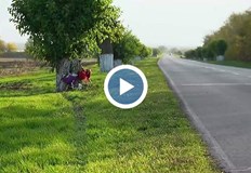 17 годишно момиче се бори за живот след тежка катастрофа Накъде караш