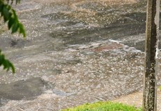 Максималните температури достигат 22 градуса днес новата седмица започва със