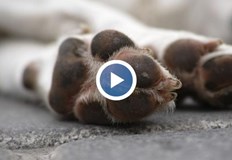 Жената едва успяла да спаси себе си и другото си